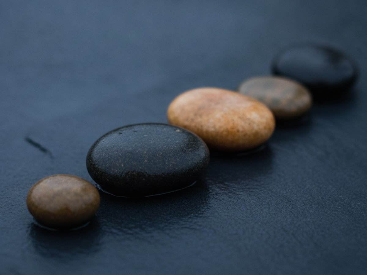 Five smooth stones of different sizes arranged in a line